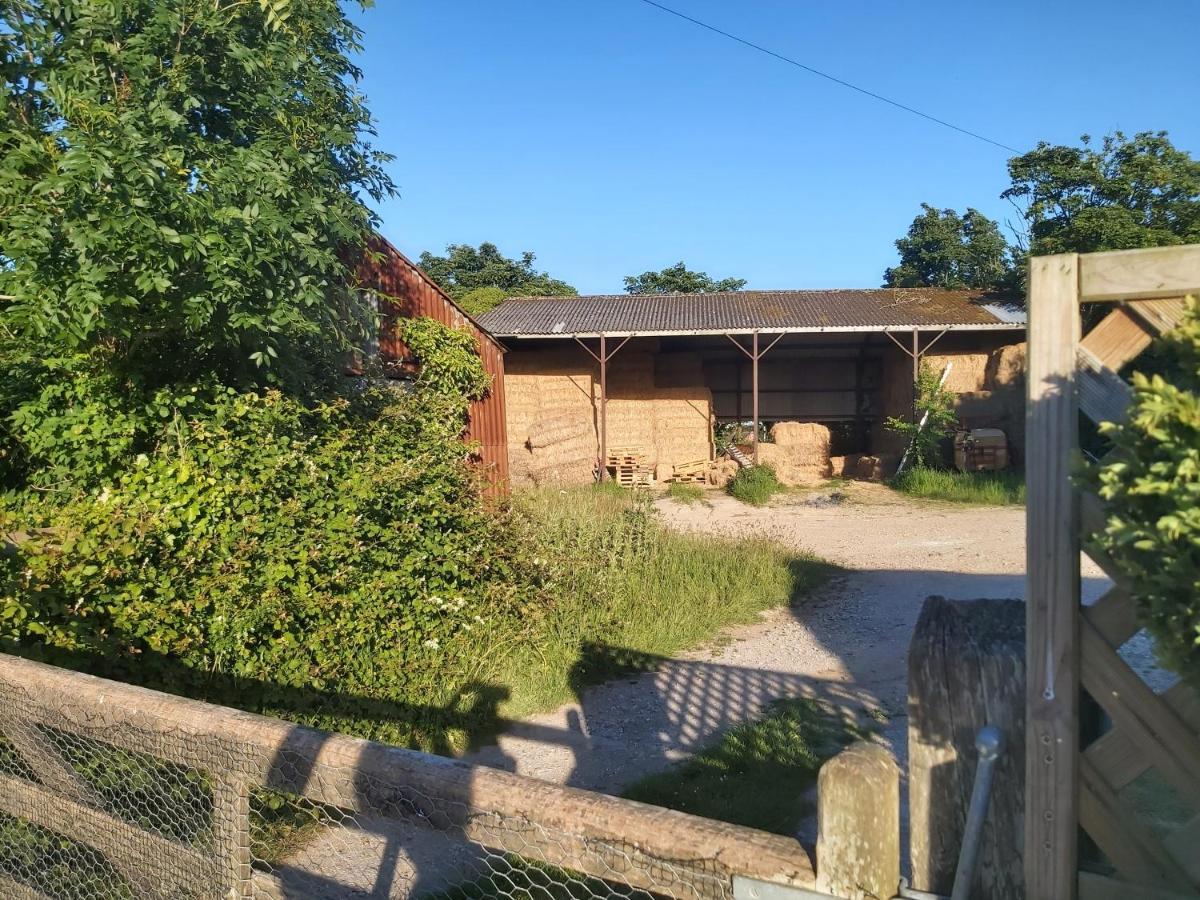 Beautiful Barn Conversion, 3 Bed, Hot Tub, Sauna, Gym, Enclosed Garden Ryde  Luaran gambar
